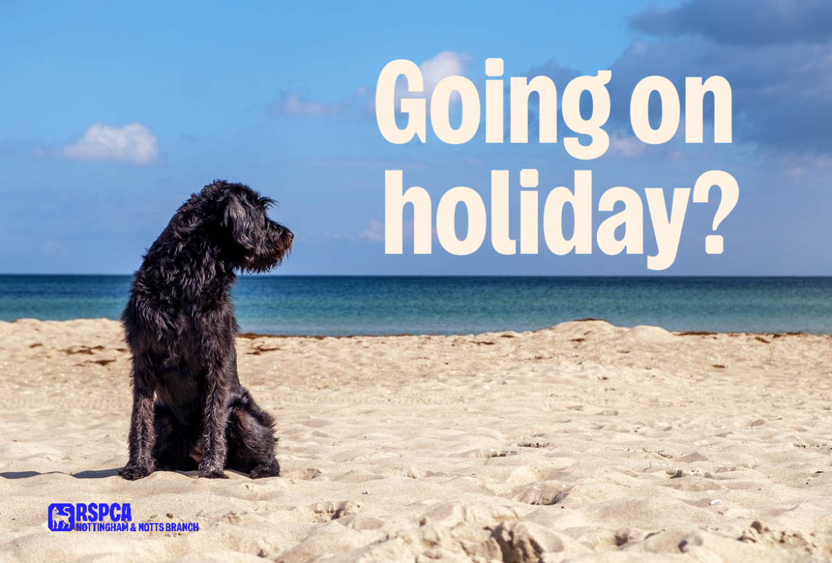 Going on holiday?